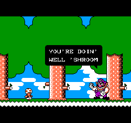 Wario's Woods NES Wario talking to Toad