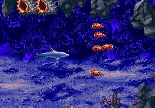 Ecco: The Tides of Time Genesis Colored fishes