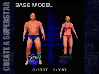 http://www.mobygames.com/images/shots/l/406430-wwf-smackdown-2-know-your-role-playstation-screenshot-create.png