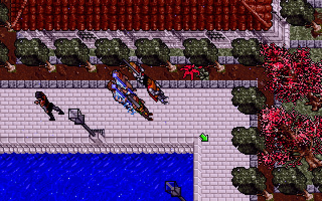 Ultima VII: Part Two - Serpent Isle DOS Fawn, the Town of Beauty