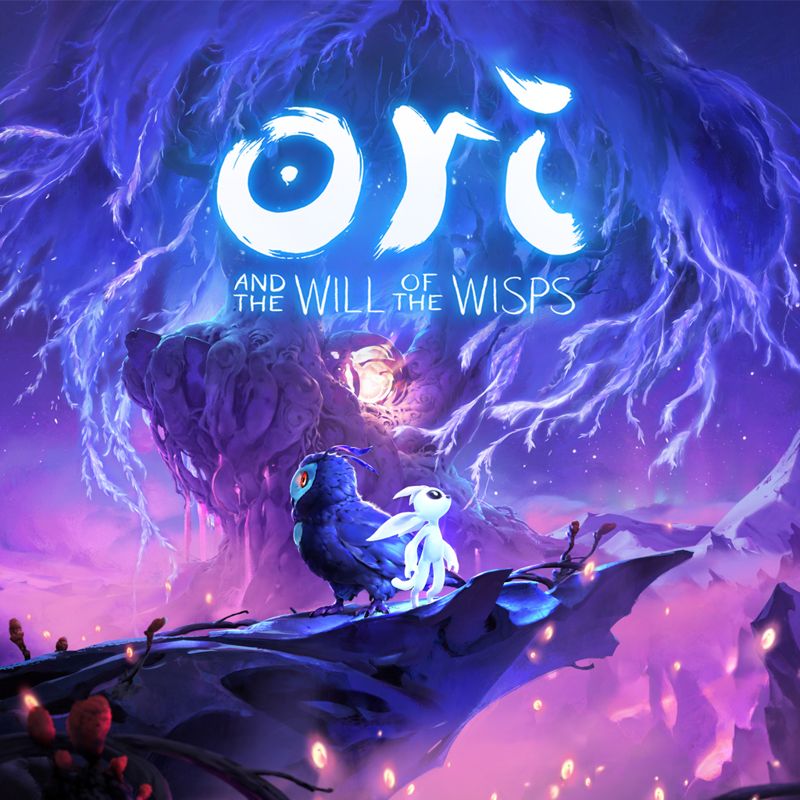 684527-ori-and-the-will-of-the-wisps-nintendo-switch-front-cover.jpg