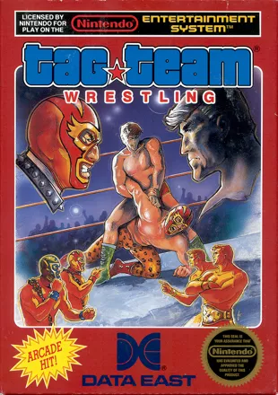 Tag Team Wrestling NES Front Cover