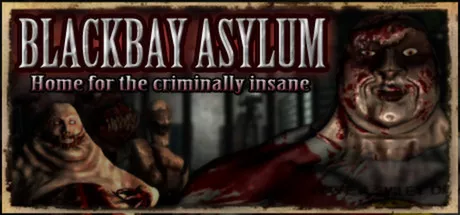 Blackbay Asylum: Home for the Criminally Insane Windows Front Cover