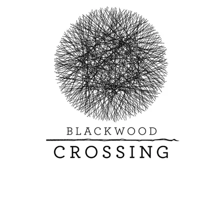 Blackwood Crossing PlayStation 4 Front Cover