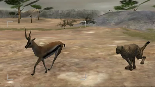 Wild Earth: African Safari Screenshot