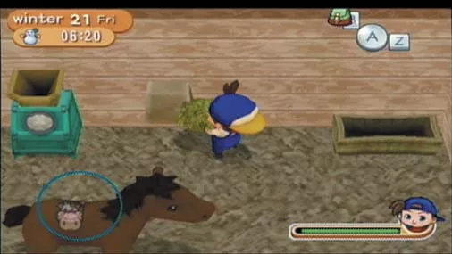 Harvest Moon: Magical Melody Screenshot