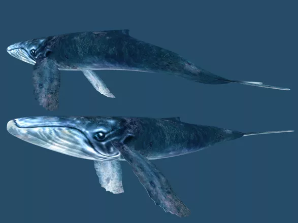 Ecco the Dolphin: Defender of the Future Render
