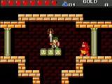 Wonder Boy III: The Dragon's Trap Screenshot