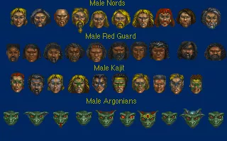 The Elder Scrolls: Chapter II - Daggerfall Other Character faces