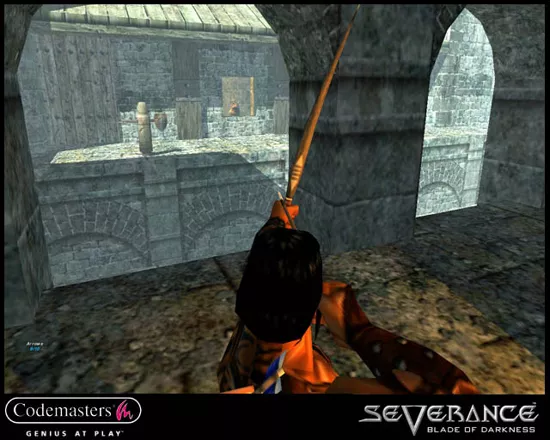 Blade of Darkness Screenshot