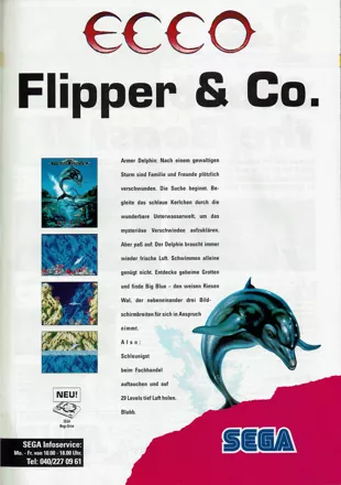 Ecco the Dolphin Magazine Advertisement