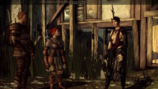 Dragon Age: Origins - Ultimate Edition Screenshot