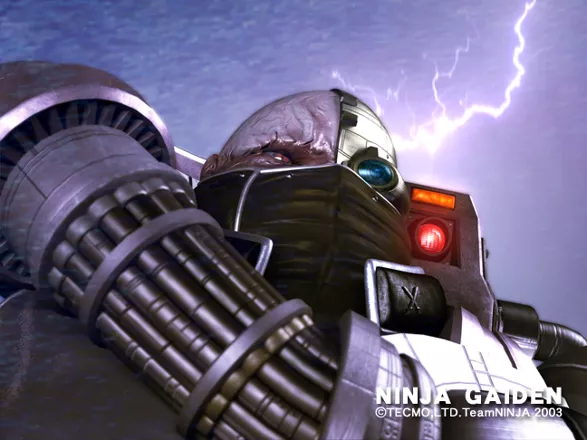 Ninja Gaiden Screenshot
