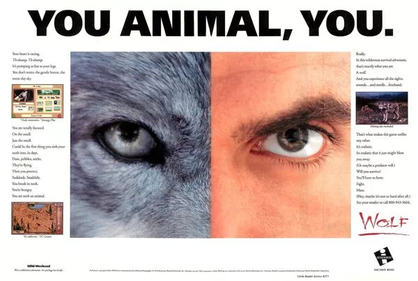 Wolf Magazine Advertisement