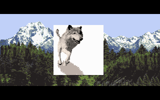 Wolf [PC] 143355-wolf-dos-screenshot-introduction