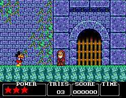 41234-castle-of-illusion-starring-mickey-mouse-sega-master-system.gif