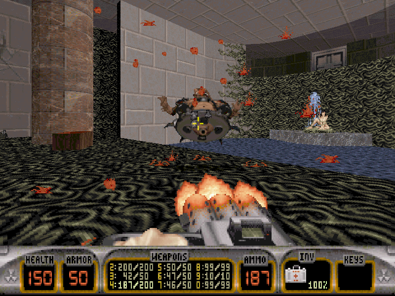 5637-duke-nukem-3d-dos-screenshot-who-would-have-thought-the-old.gif