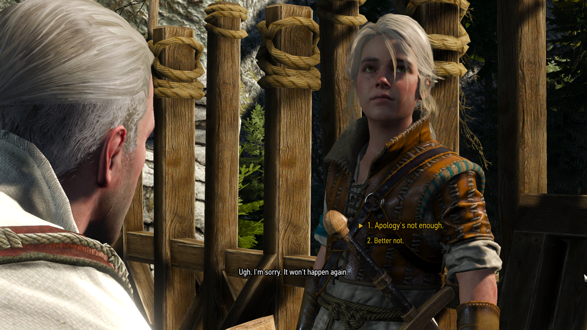 Image of Geralt talking to Ciri