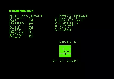 Dungeon of Death Commodore PET/CBM User spell on black wizard
