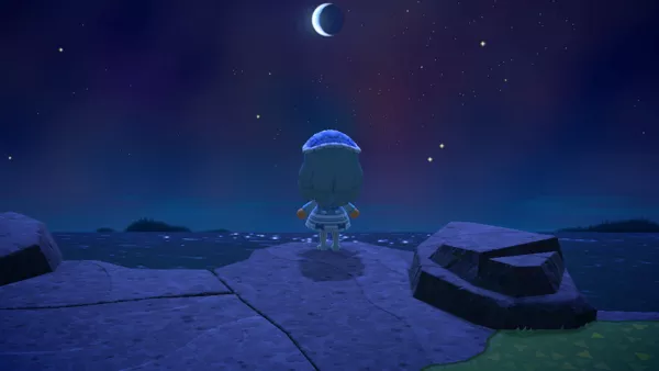 Animal Crossing: New Horizons Nintendo Switch Looking for shooting stars