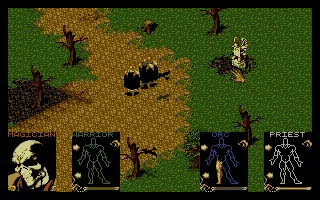 Shadowlands Amiga Starting a new game. My magician has already been killed by birds.