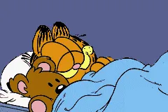Garfield: The Search for Pooky Game Boy Advance Intro: One night, Garfield was sleeping with Pooky by his side.