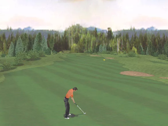 Fox Sports Golf &#x27;99 Windows You can also see the competitor you were paired with playing