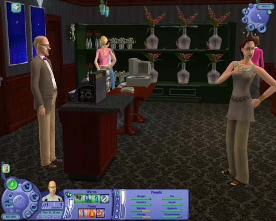 The Sims 2: Open for Business Windows With Open for Business, your Sims can now sell any number of things from home to supplement their existing incomes...