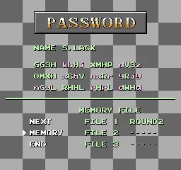Formula 1 Sensation NES Password