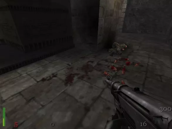 Return to Castle Wolfenstein Windows Yes, this game is pretty gory :)