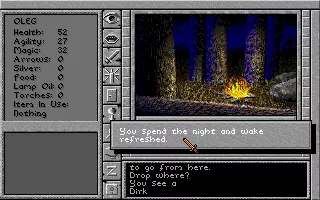 Prophecy of the Shadow DOS You are camping. Good night!