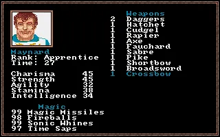 Questron II Amiga Demo - Character stats