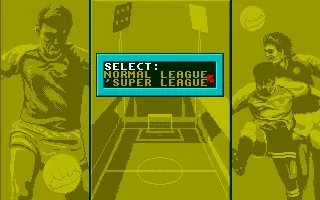 1st Division Manager Amiga Select the League you wish to play