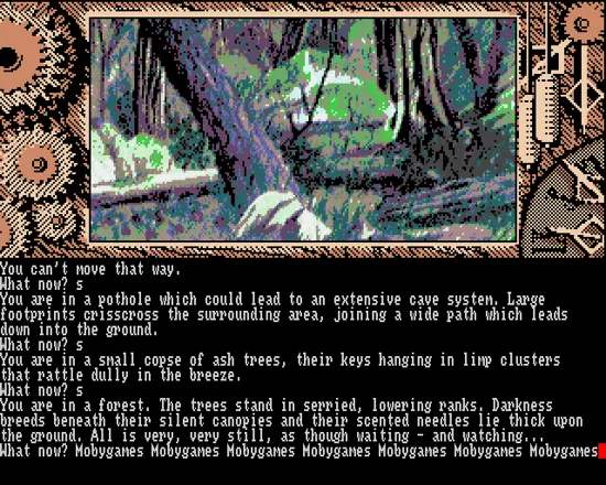 Time and Magik: The Trilogy Amiga Red Moon - Forest