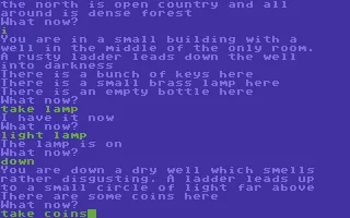 Colossal Adventure Commodore 64 Going down a well