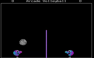 Arcade Volleyball DOS Game Started