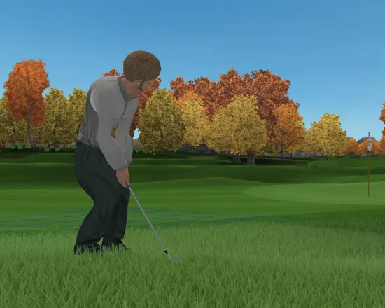 Tiger Woods PGA Tour 2004 Windows Landed in a rough patch.