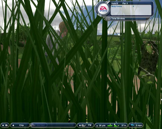 Tiger Woods PGA Tour 2004 Windows On occasion your view may be obstructed.