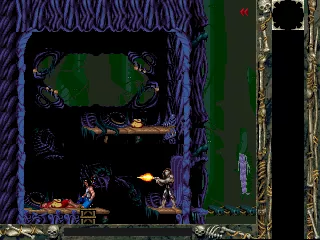 Blackthorne DOS Pow! Right in the head. Now I&#x27;m really angry!