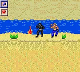 Surf Ninjas Game Gear Level three returns to the beach.