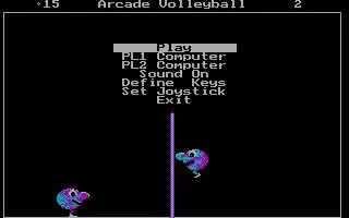Arcade Volleyball DOS Game finished