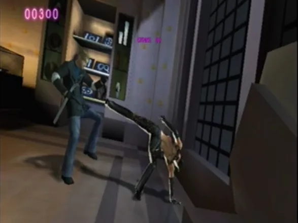 Catwoman GameCube Round-kicking the burglar.