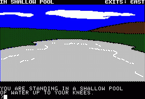 Sherwood Forest Apple II Murky Pool of Water...