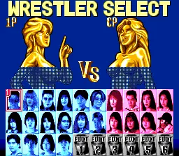 Super Fire Pro Wrestling Queen&#x27;s Special TurboGrafx CD Wrestler select