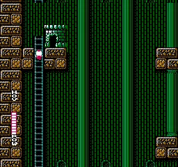 Blaster Master NES In this area, the entrances to the overhead sequence looks like a castle