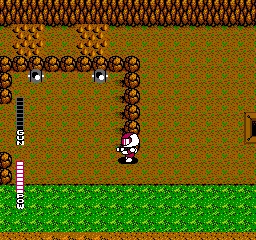 Blaster Master NES Exploring Ruins