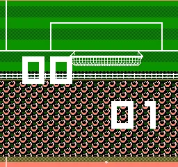 Tecmo World Cup Soccer NES This is all you see after a goal
