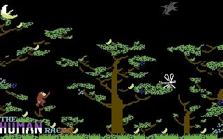 The Human Race Commodore 64 Leaping through the trees. The lower bananas are tough - the player must escape to the trees to avoid patrolling dinosaurs