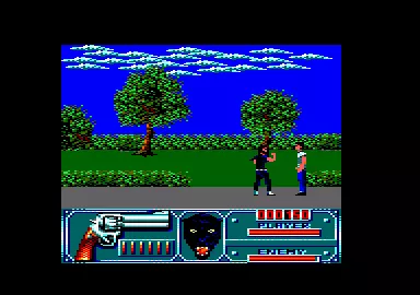 Wild Streets Amstrad CPC Nice walk in the gardens.