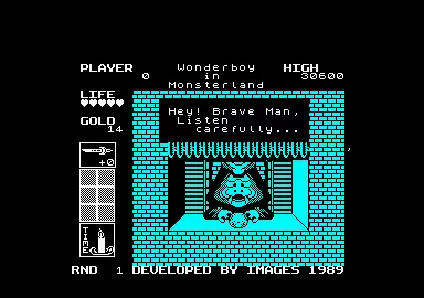 Wonder Boy in Monster Land Amstrad CPC Your mission.